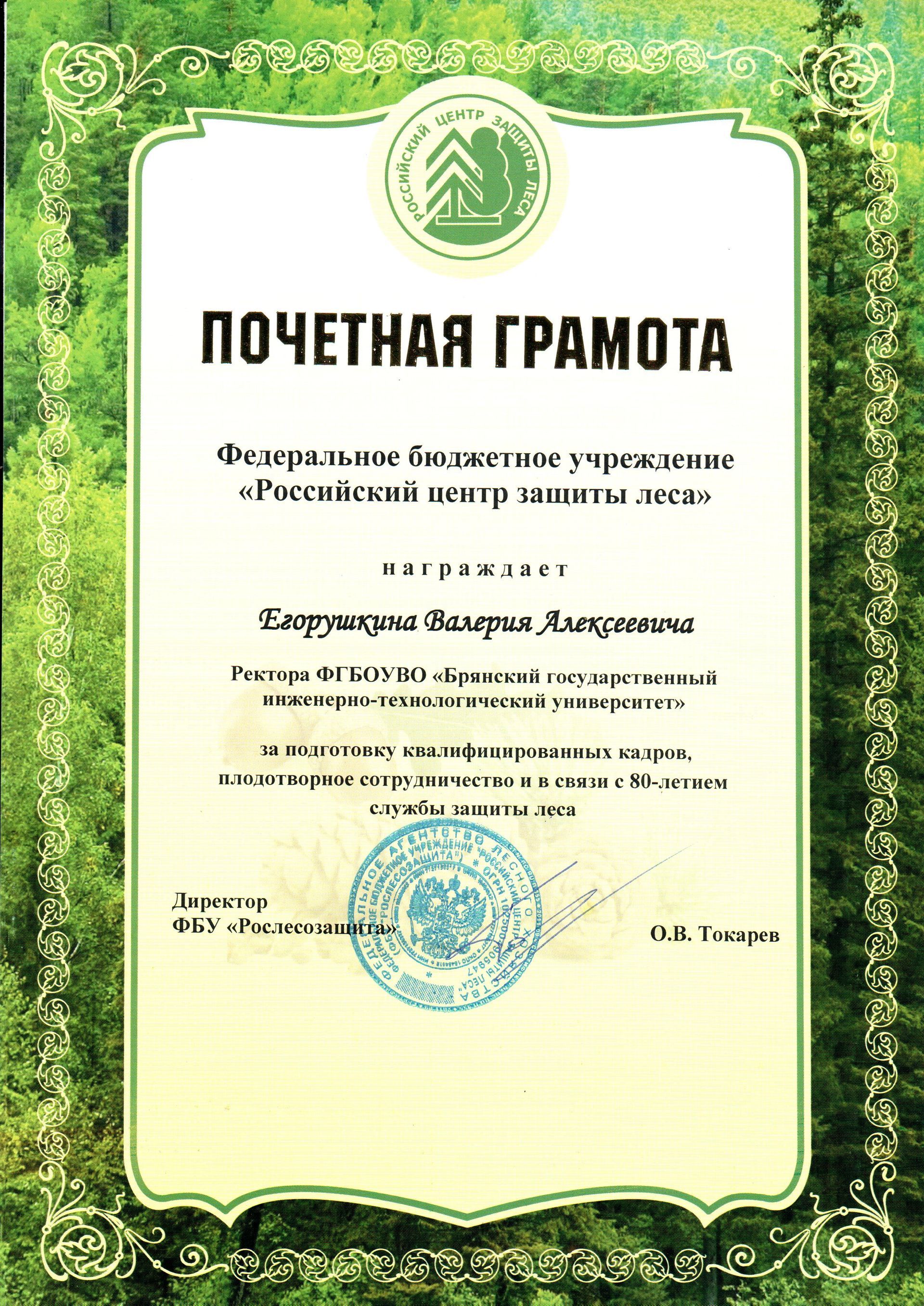 Почетная грамота за подготовку квалифицированных кадров для лесной отрасли