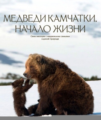 «Мишкин день», посвященный  Всероссийскому Дню медведя